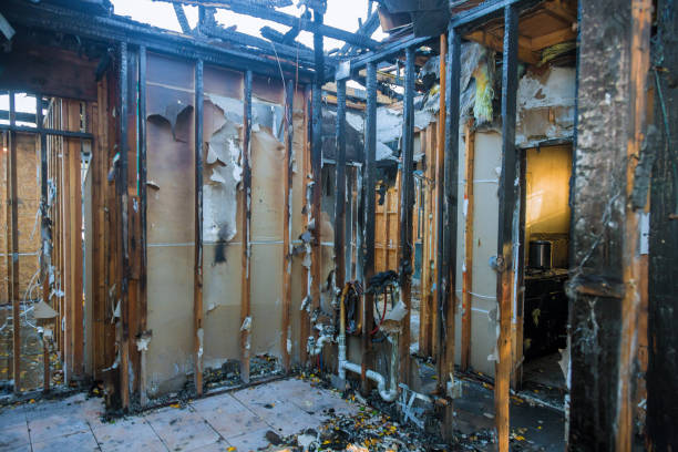 Professional Fire Damage Removal technician working in Millville, DE